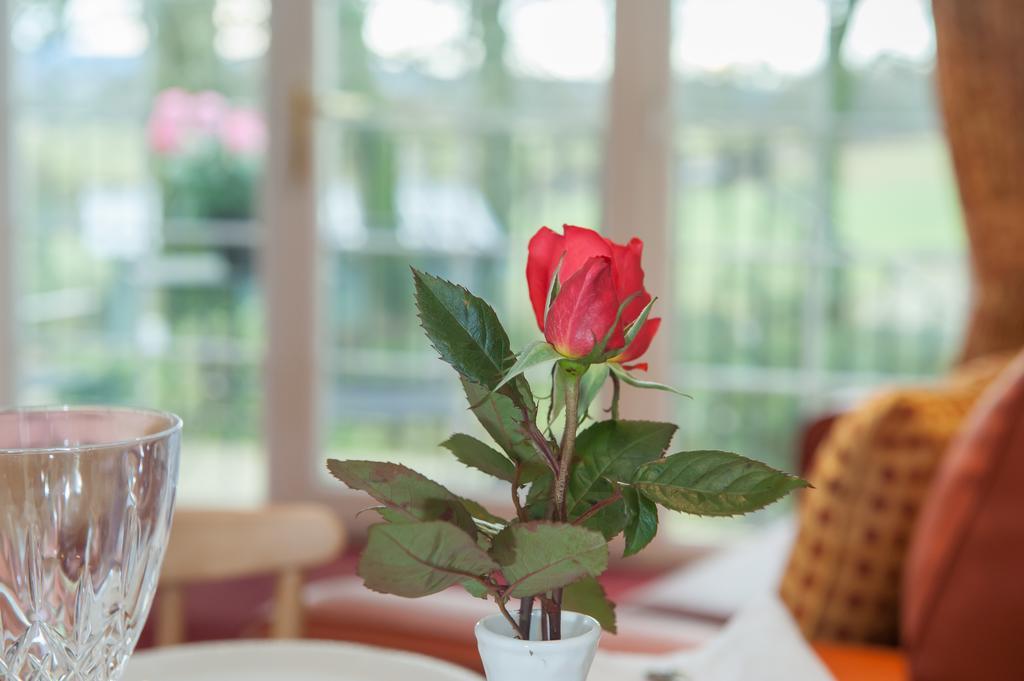 Loaninghead Holidays Drymen Phòng bức ảnh